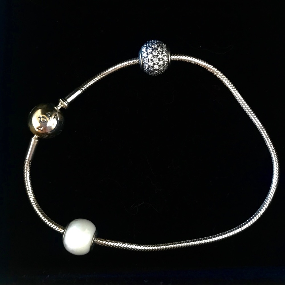 Pandora generosity and positivity charm bracelet